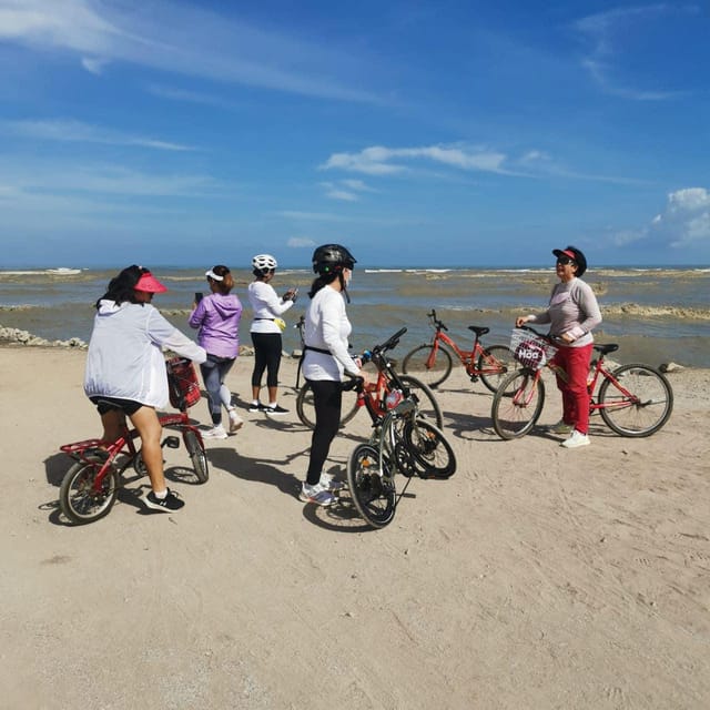 Penang: Balik Pulau Countryside Morning Cycling Tour - Customer Reviews and Feedback