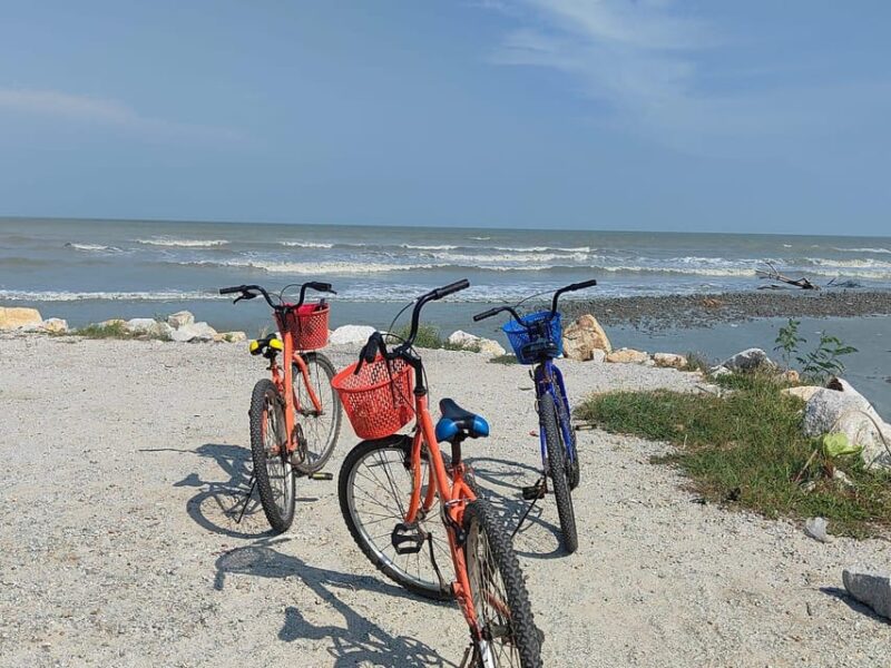 Penang: Balik Pulau Countryside Morning Cycling Tour - Cultural and Local Insights