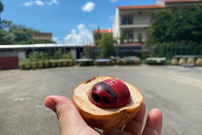 Penang countryside Balik Pulau Half Day Tour - The Nutmeg Factory: More Than Just a Spice
