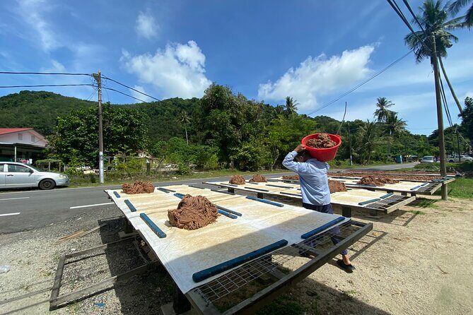 Penang countryside Balik Pulau Half Day Tour - Kampong Terang: Art in the Fields