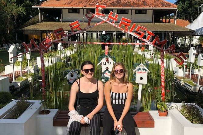 Penang Dawn & Dusk Street Food - Traveler Participation and Review Checks
