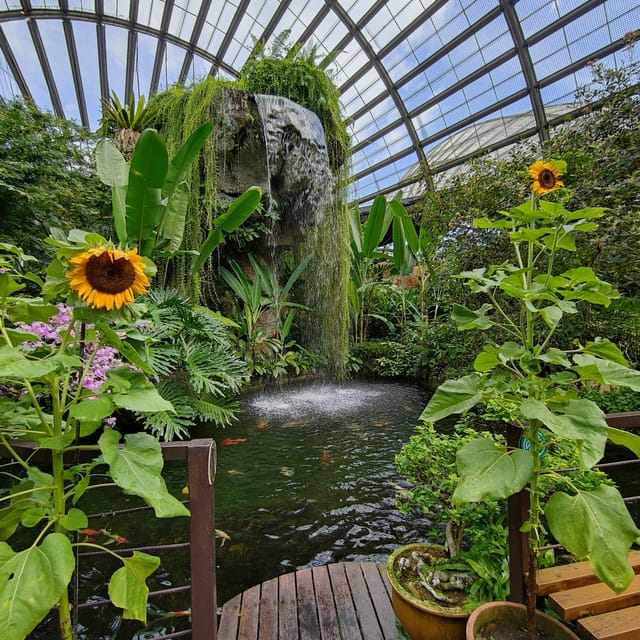 Penang: Entopia General Admission Tickets - Butterfly Sanctuary and Insect Exhibits