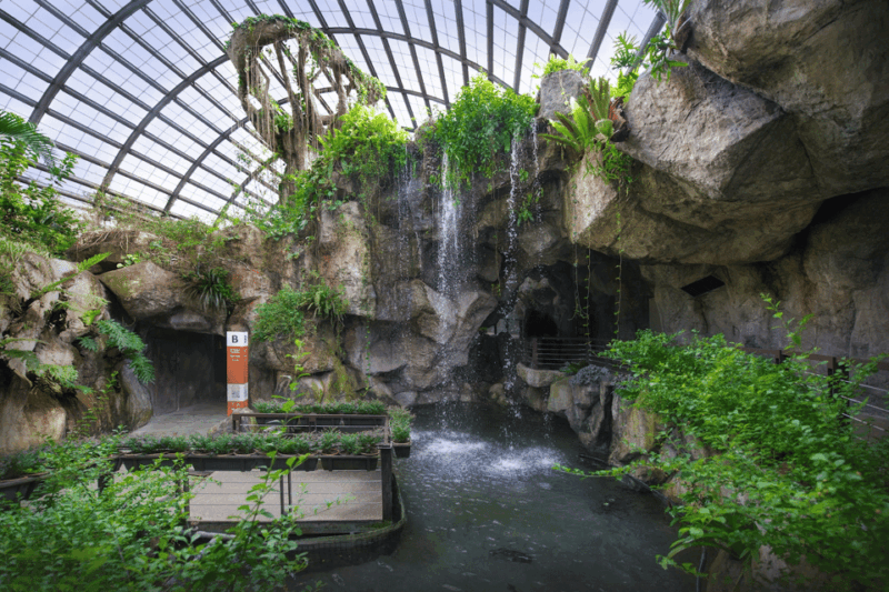 Penang: Entopia General Admission Tickets - Nature Learning Activities and Explorations