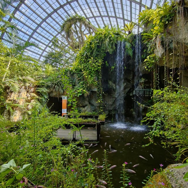 Penang: Entopia General Admission Tickets - Accessibility and Visitor Guidelines