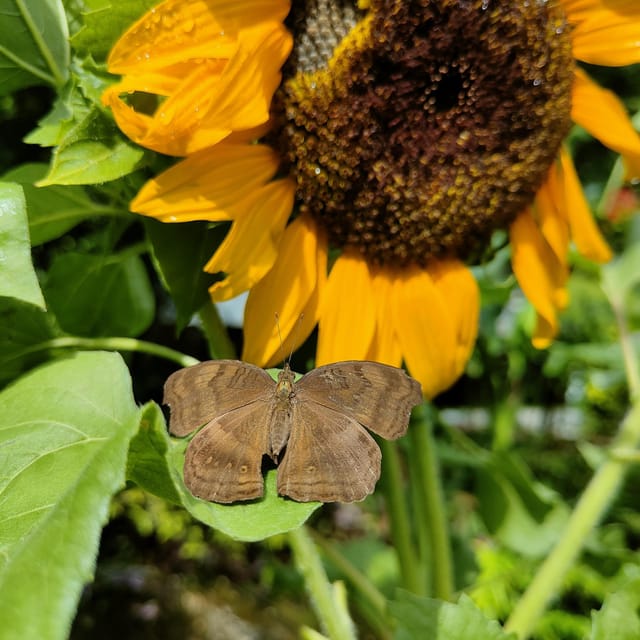 Penang: Entopia General Admission Tickets - Customer Ratings and Feedback