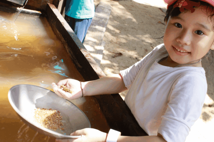 Penang: ESCAPE Theme Park Entry Ticket - Visitor Requirements and Restrictions