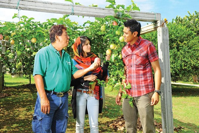 Penang Full Day Tour With Penang Hill, Kek Lok Si & Fruit Farm - Customer Reviews