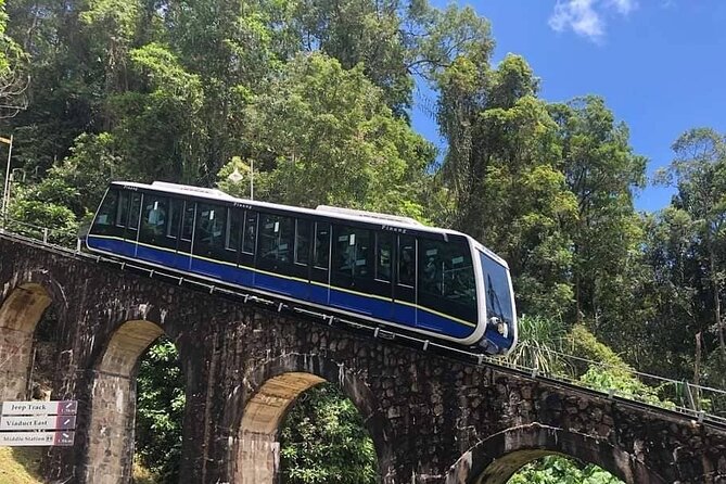 Penang Full Day Tour With Penang Hill, Kek Lok Si & Fruit Farm - Discovering Traditional Arts and Cuisine