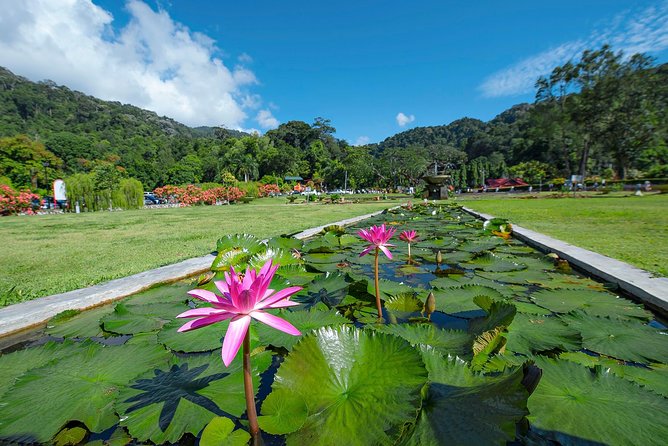 Penang Hill(FastLane),Ferringhi Beach,Botanic Garden & Kek Lok Si - Penang Hill (FastLane)