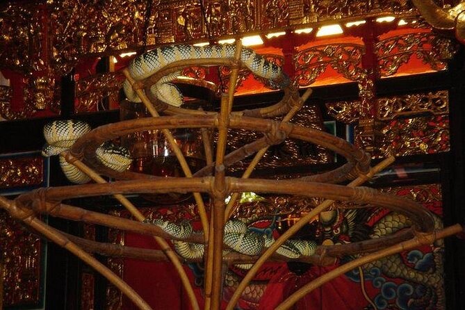 Penang Island Tour Including Snake Temple - Accessibility and Transportation