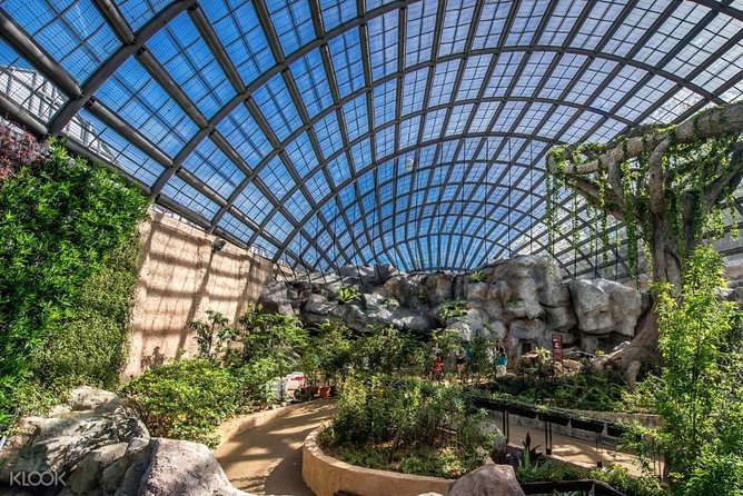 Penang Round Island Tour With Tropical Spice Garden & Entopia Butterfly Farm - Entopia Butterfly Farm Walkthrough