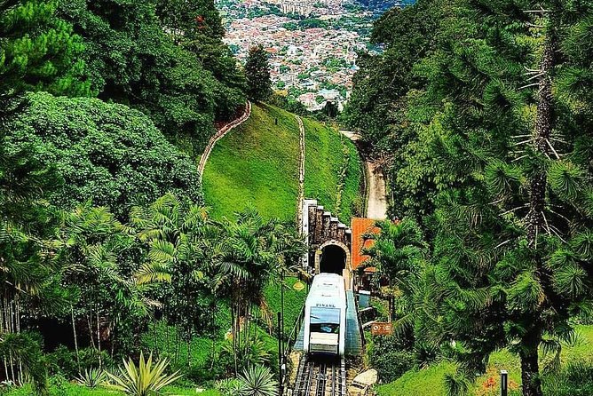 Penang Shore Excursion Day Trip With Temple and Penang Hill Tickets (Fast Lane) - Tour Inclusions and Logistics