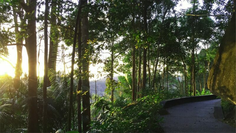 Penang: The Habitat Penang Hill Entry Ticket - Discovering The Habitat Penang Hill: An In-Depth Review