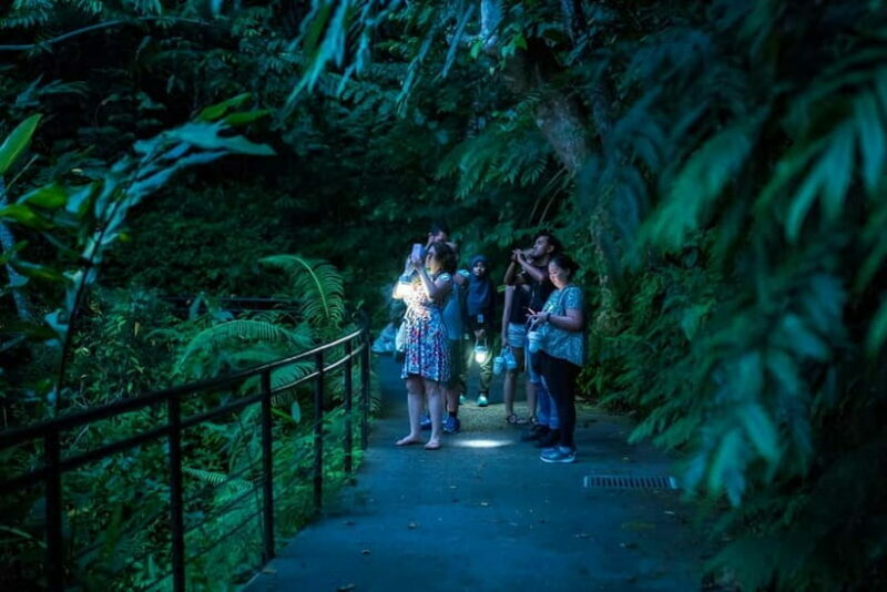 Penang: The Habitat Penang Hill Entry Ticket - An In-Depth Look at The Habitat Penang Hill