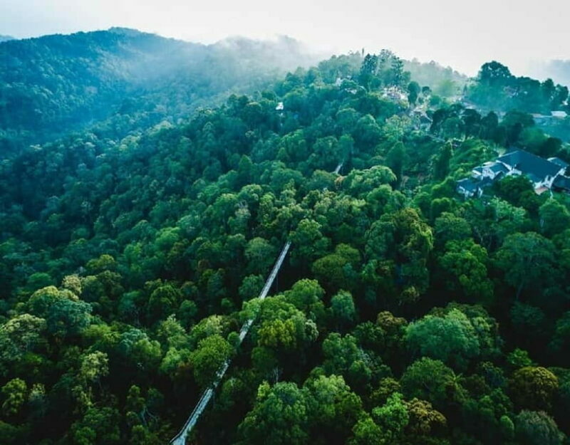 Penang: The Habitat Penang Hill Entry Ticket - The Final Word