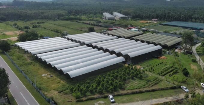 Penang: The Vanilla Village Farm Tour by Kairos - Tranquil Vanilla Plantation Stroll
