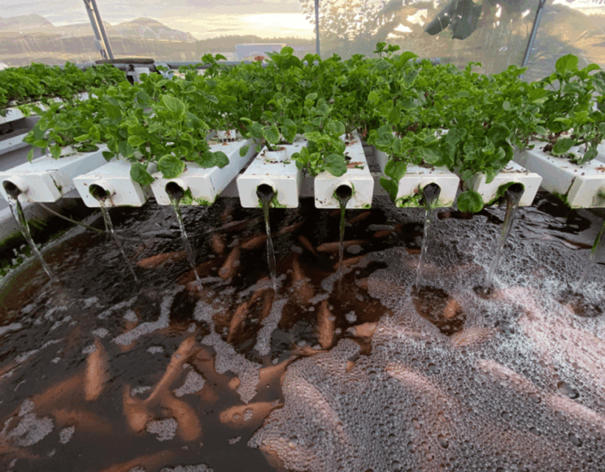 Penang: The Vanilla Village Farm Tour by Kairos - Frequently Asked Questions