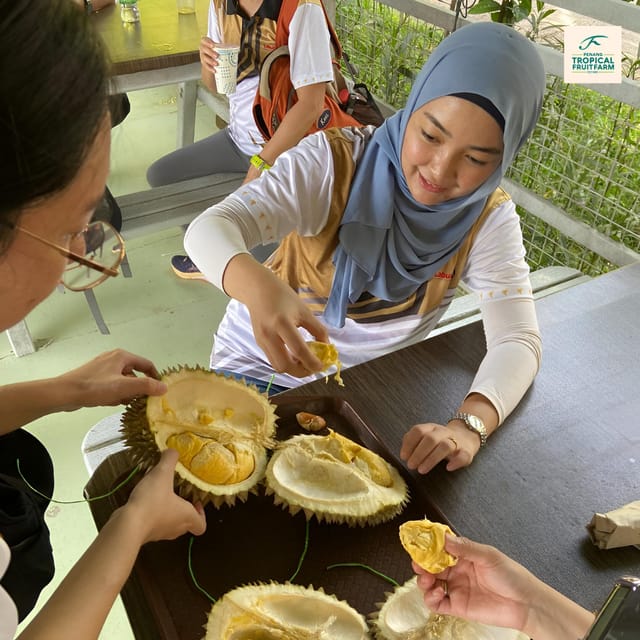 Penang: Tropical Fruit Farm Ticket - Ticket Pricing and Validity