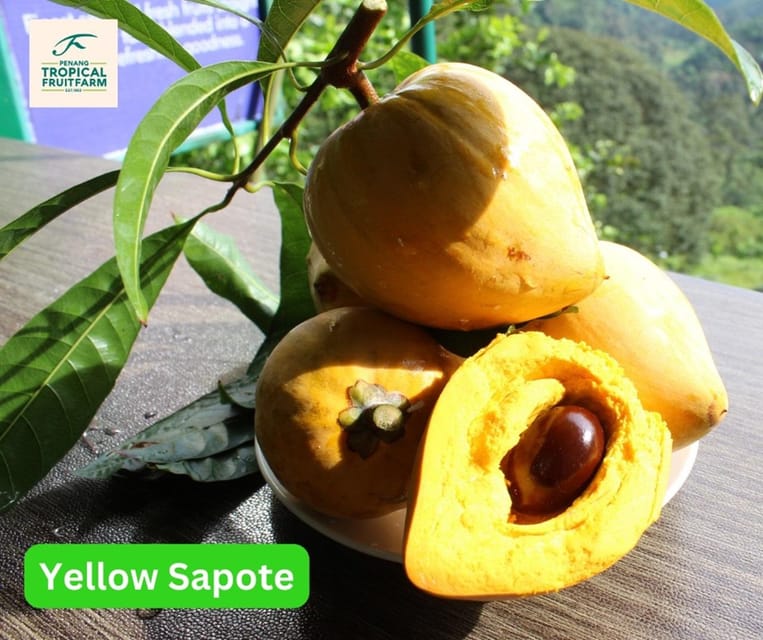 Penang: Tropical Fruit Farm Ticket - Guided Tour Languages