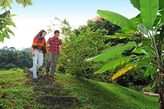 Penang Tropical Fruit Farm With Fruit Tasting - Unique Features
