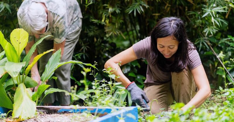 Penang: Tropical Spice Garden E-Ticket - Key Points