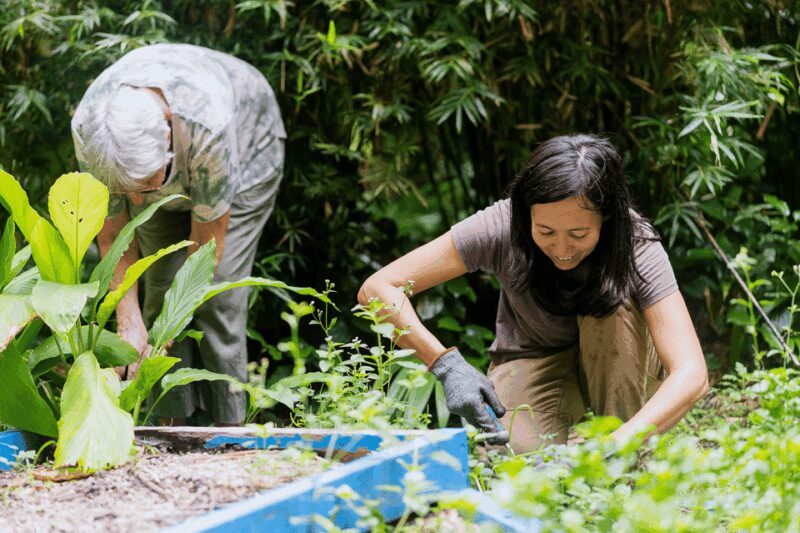 Penang: Tropical Spice Garden Entrance Ticket & Guided Tours - An Overview of the Tropical Spice Garden