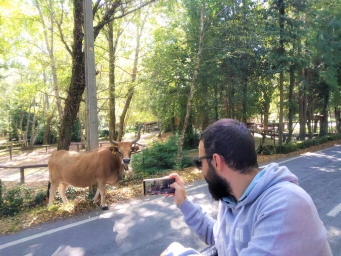 Peneda-Gerês: Full-Day Premium Tour - Mountain Shrine Tour
