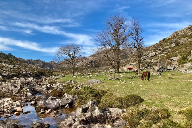 Peneda-Gerês Hiking & Sightseeing: Private Experience - Pickup and Meeting Point Details