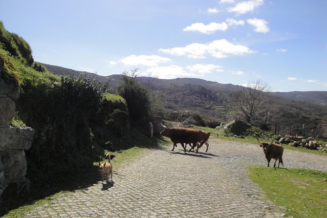Peneda-Gerês National Park - A Time Travel Through The Mountains - - Exploring the Traditional Villages