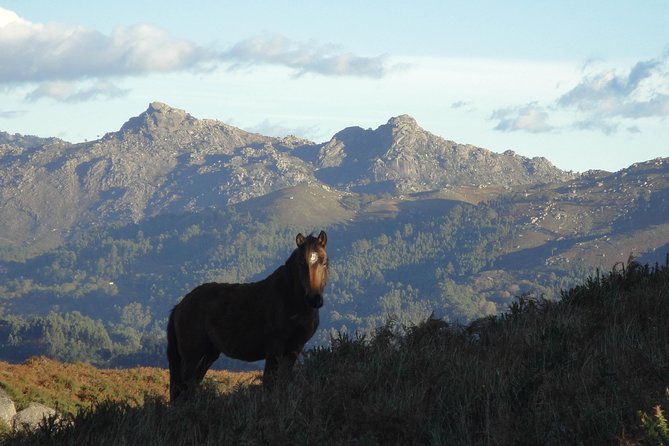 Peneda-Gerês National Park - A Time Travel Through The Mountains - - Savoring the Authentic Cuisine