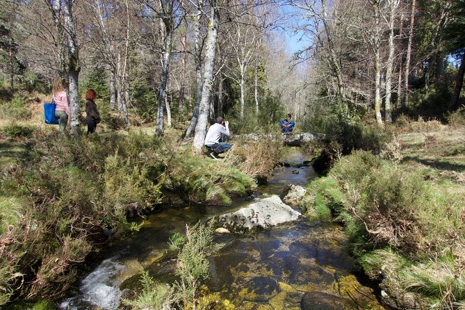 Peneda-Gerês National Park Private Full-Day Tour  - Braga - Lunch and Local Cuisine