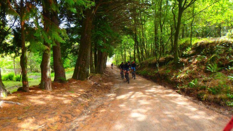 Peneda Gerês National Park: Self-Guided Electric Bike Tour - Preparation and Recommendations
