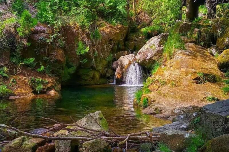 Peneda Geres Park: Explore Lost Villages and Hidden Gems - Included Services