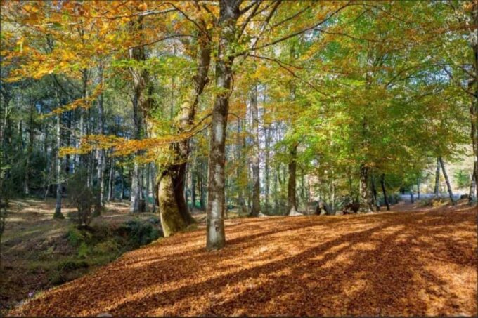 Peneda Geres Park: Explore Lost Villages and Hidden Gems - Frequently Asked Questions