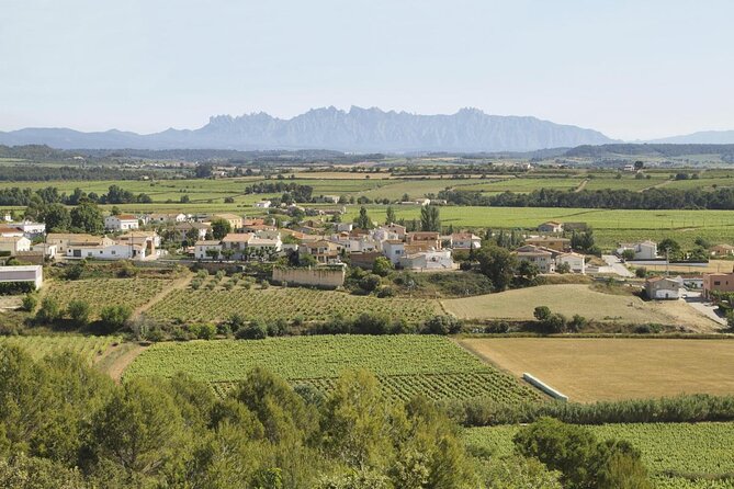 Penedes and Cava Winery Small Group Tour - About Your Stay