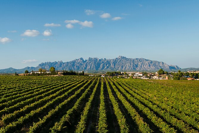 Penedes and Cava Winery Small Group Tour - Tour Inclusions and Exclusions