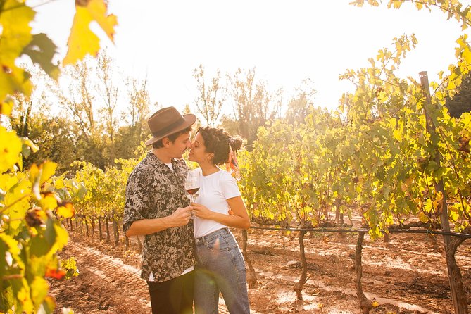 Penedès, Cava & Wine Private Tour From Barcelona - Tasting Award-Winning Wine and Cava