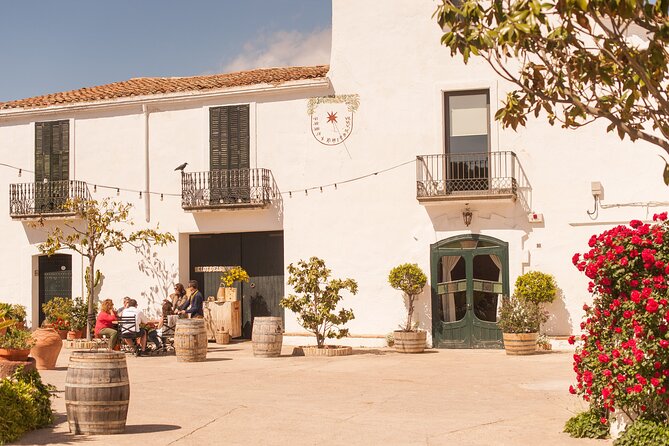 Penedès, Cava & Wine Private Tour From Barcelona - Pickup and Meeting Information