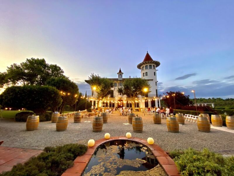 Penedès: Codorniu Winery Tour With Cava Tasting - Experience Highlights