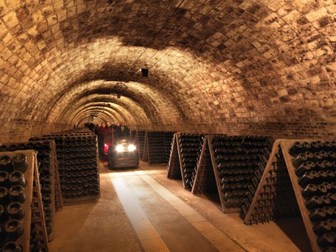 Penedès: Discovery Tour With Cava Tasting - Customer Feedback and Ratings