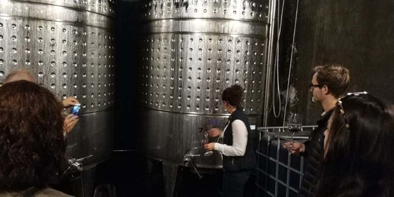 Penedes: Private Wine and Cava Tasting Tour - Key Points