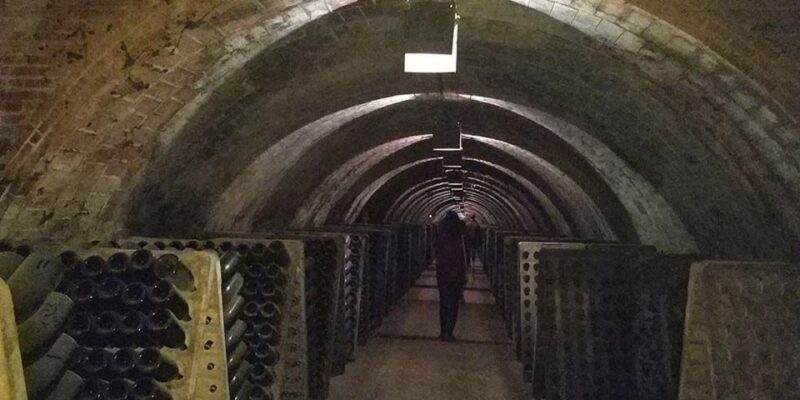 Penedes: Private Wine and Cava Tasting Tour - Sampling Local Cava Specialties
