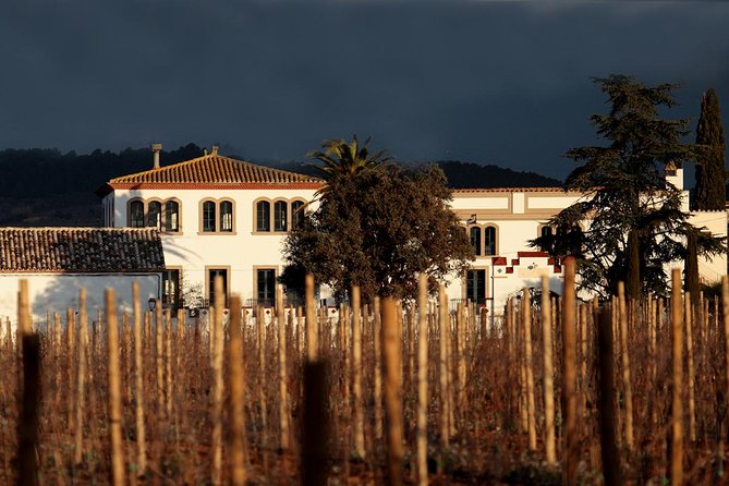 Penedes Wine & Cava Tasting & 4WD Vineyards Tour From Barcelona - Winery Visit 2
