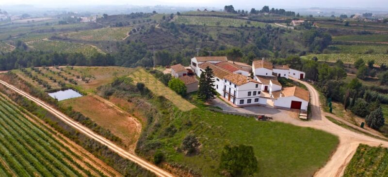 Penedes Wine Cellar Visit With Tasting From Barcelona - Key Points