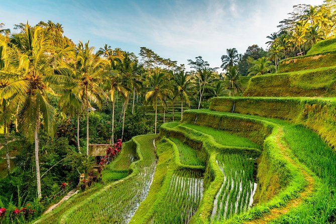 Penglipuran Traditional Village Tour With Swing, Rice Terrace, and Temple - Private Transfers
