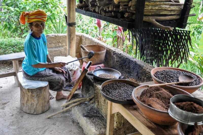 Penglipuran Village With Water Temple, Rice Terrace Tours - Tirta Empul Water Temple
