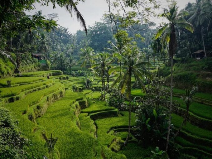 Penglipuran Village With Water Temple, Rice Terrace Tours - Frequently Asked Questions