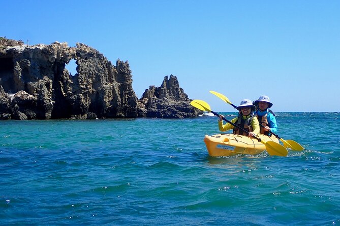 Penguin and Seal Islands Sea Kayaking Experience - Inclusions and Equipment