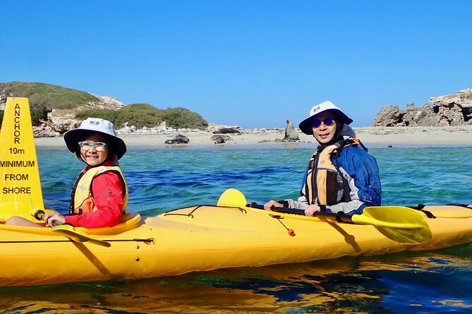 Penguin and Seal Islands Sea Kayaking Experience - Customer Feedback Highlights