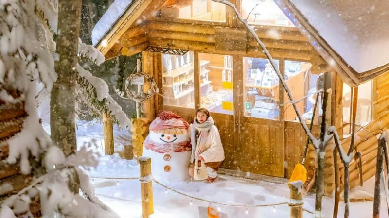 Penguin Fun & Snowmobile : Sapporo Winter (Asahiyama Zoo) - The Iconic Ken & Mary Tree
